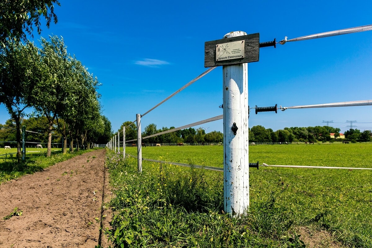 Kompleksowy przewodnik po akcesoriach do ogrodzeń elektrycznych