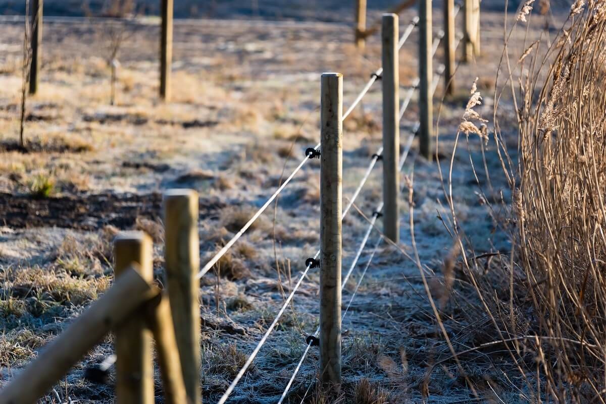 Zasady bezpieczeństwa przy użytkowaniu ogrodzeń elektrycznych