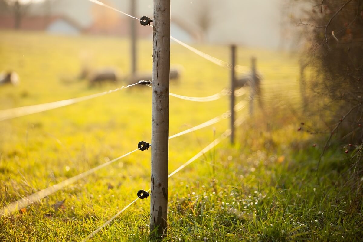 Podstawy instalacji ogrodzeń elektrycznych: poradnik dla początkujących